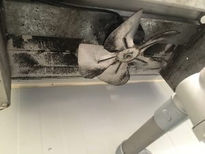 Froid Industrielle Nettoyage Désinfection Phase 3