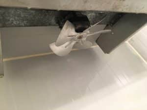 Froid Industrielle Nettoyage Désinfection Phase 4