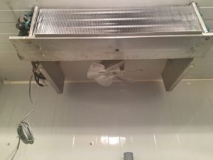 Froid Industrielle Nettoyage Désinfection Phase 5