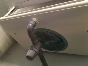 Froid Industrielle Nettoyage Désinfection Phase 6